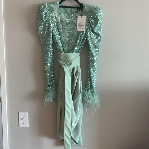 Lavish Alice Sequin Feather Embellished Belted Bodycon Dress in Sage - Picture 3 of 9